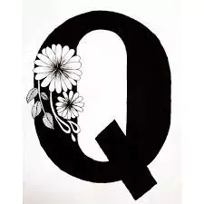 whatsapp q name dp